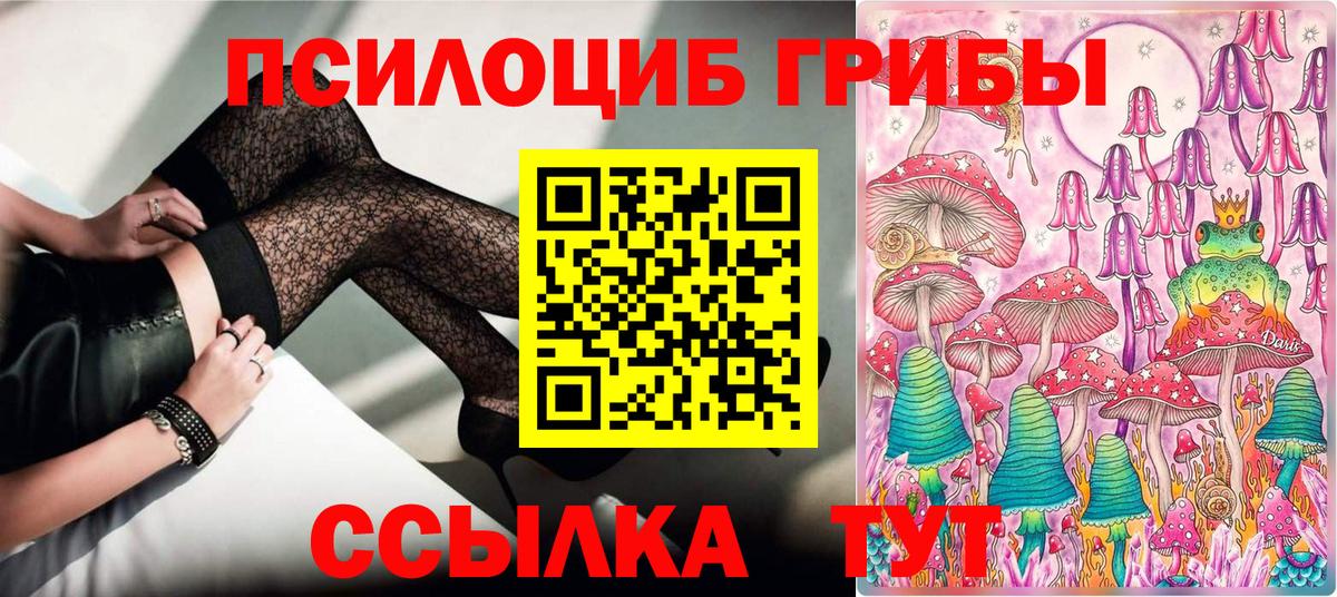 Новозыбков  Галлюциногенные грибы прущие грибы  Вход с VPN  Псилоцибиновые грибы MAGIC MUSHROOMS 