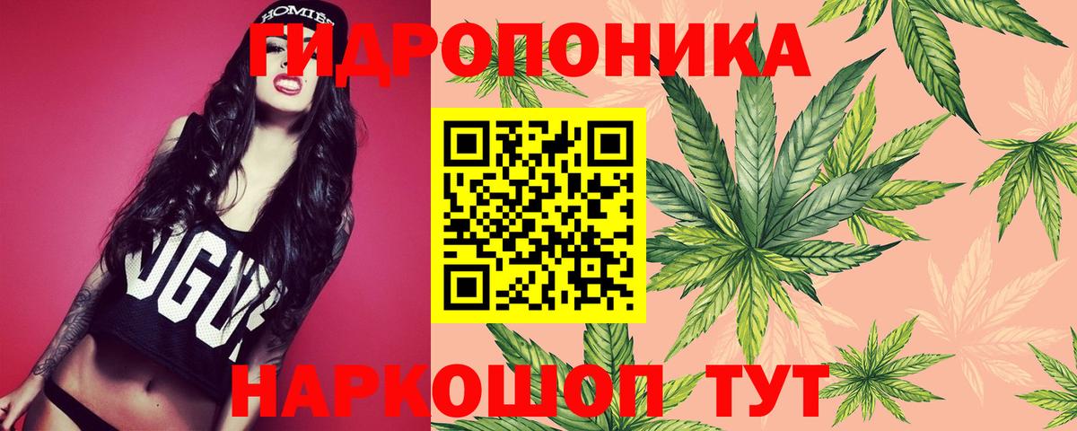 Шишки марихуана планчик Новозыбков