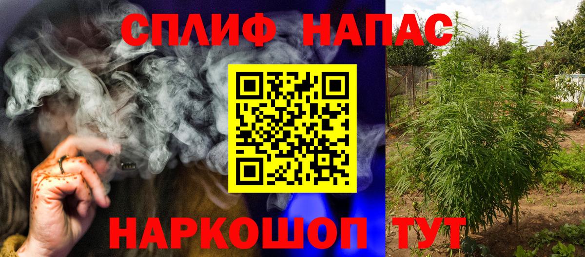 Шишки марихуана ГИДРОПОН  Канабис Bruce Banner  Бошки Шишки White Widow  Новозыбков  Вход с VPN  Бошки марихуана AK-47 